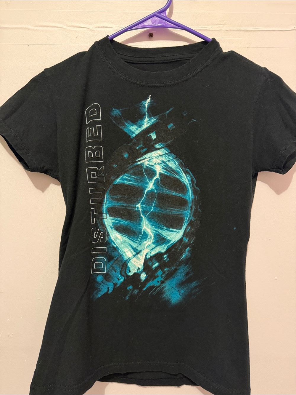 Disturbed 2019 Evolution Tour Graphic Band Tee - Womens Small